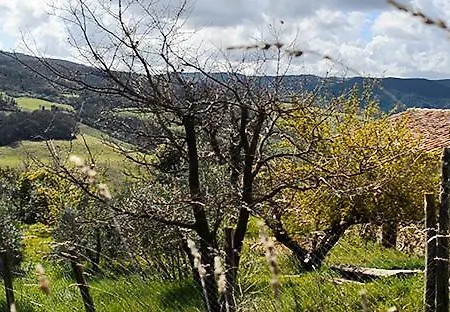 Apartament Podere Sant'ugo Pomarance
